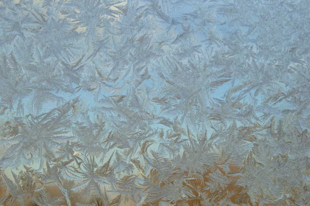 USA, Colorado Frost on window pane